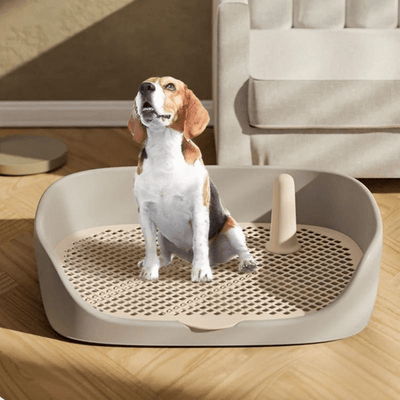 https://cdn.shopify.com/s/files/1/0763/9767/4819/files/Litiere_pour_chien_sur_terrasse_modele_avec_chien.png?v=1748608659