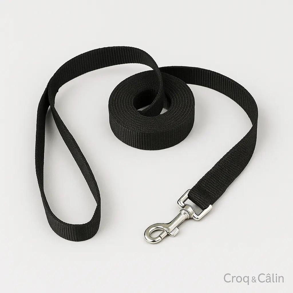 https://cdn.shopify.com/s/files/1/0923/9910/8483/files/Longe_Pour_Chien_10_m.png?v=1747591128