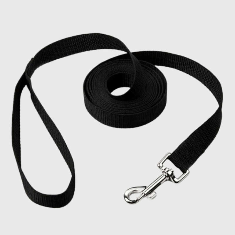 https://cdn.shopify.com/s/files/1/0763/9767/4819/files/Longe_antiderapante_pour_chien_1.png?v=1696866944