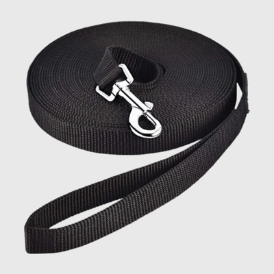 https://cdn.shopify.com/s/files/1/0763/9767/4819/files/Longe_antiderapante_pour_chien_2.png?v=1696866944