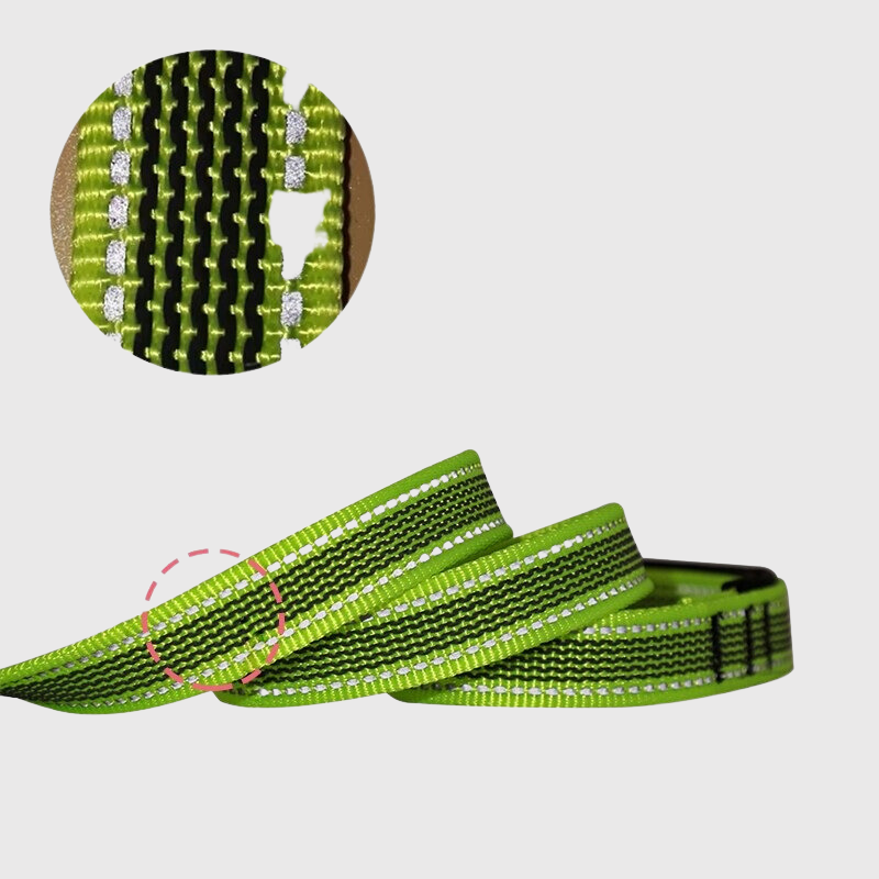 https://cdn.shopify.com/s/files/1/0763/9767/4819/files/Longe_de_dressage_pour_chien_details_cordage.png?v=1749044809