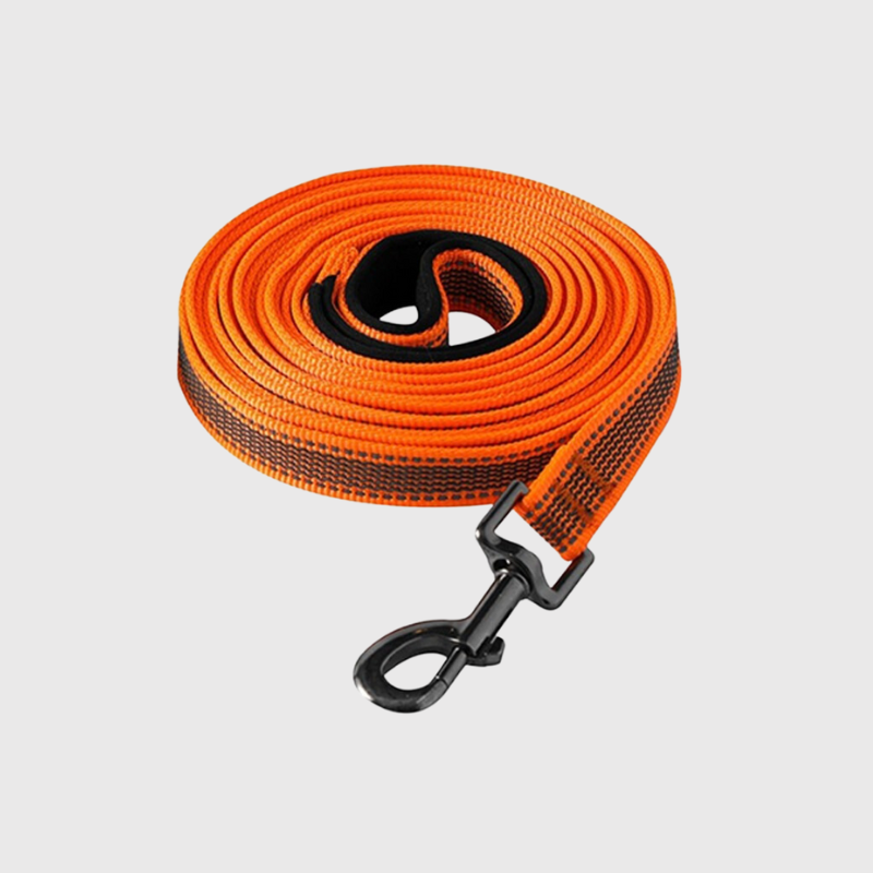 Longe Dressage Nylon Renforcée Gros Chien