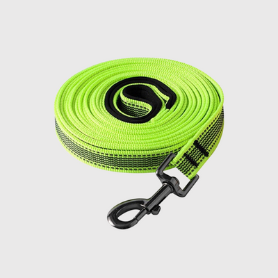 https://cdn.shopify.com/s/files/1/0763/9767/4819/files/Longe_de_dressage_pour_chien_verte.png?v=1749044809