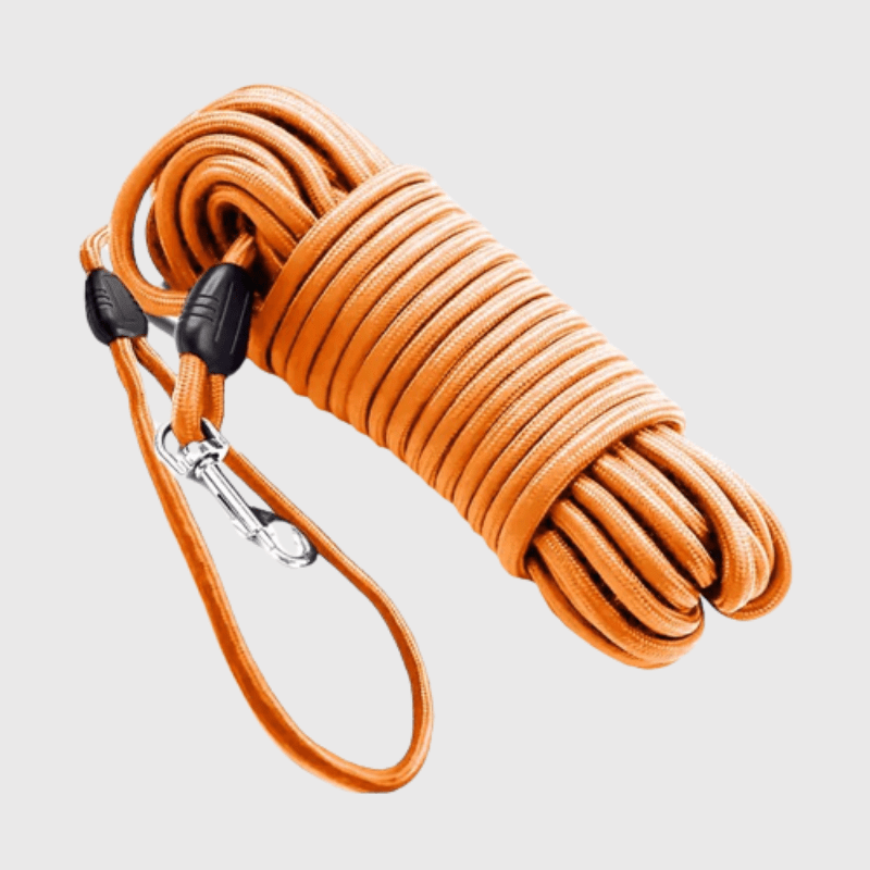 https://cdn.shopify.com/s/files/1/0763/9767/4819/files/Longe_de_pistage_pour_chien_orange.png?v=1749047029