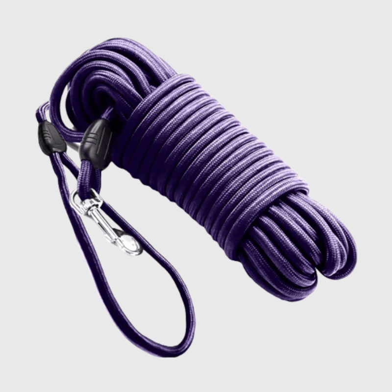 https://cdn.shopify.com/s/files/1/0763/9767/4819/files/Longe_de_pistage_pour_chien_violet.png?v=1749047029