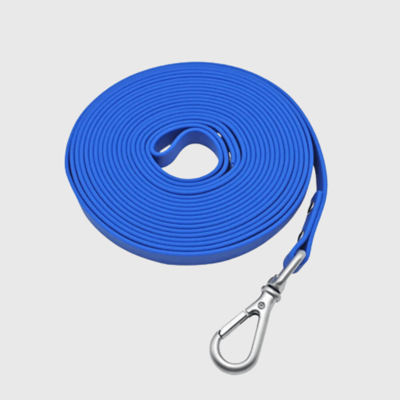 Longe Rappel Dressage 1,5 m Gros Chien