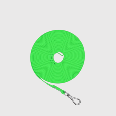 https://cdn.shopify.com/s/files/1/0763/9767/4819/files/Longe_de_rappel_pour_chien_1.5m_vert.png?v=1696781935