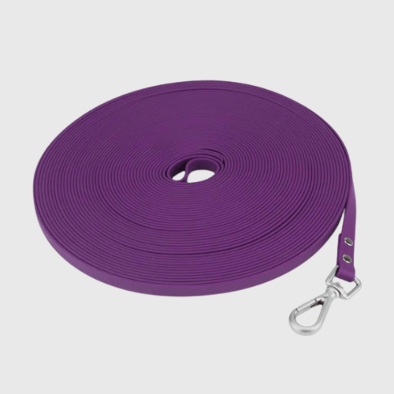 https://cdn.shopify.com/s/files/1/0763/9767/4819/files/Longe_de_rappel_pour_chien_9.2m_violet.png?v=1696784289