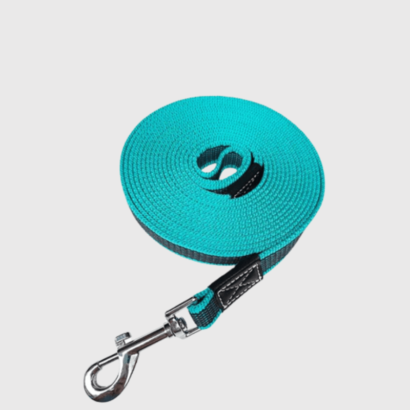 https://cdn.shopify.com/s/files/1/0763/9767/4819/files/Longe_dressage_pour_chien_jaune.png?v=1696867927