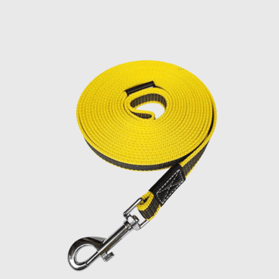 https://cdn.shopify.com/s/files/1/0763/9767/4819/files/Longe_dressage_pour_chien_jaune.png?v=1696867927