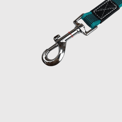 https://cdn.shopify.com/s/files/1/0763/9767/4819/files/Longe_dressage_pour_chien_mousqueton.png?v=1696867926