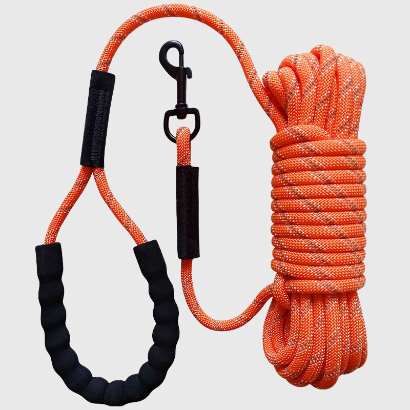 Longe Nylon Tressée Gros Chien Rappel