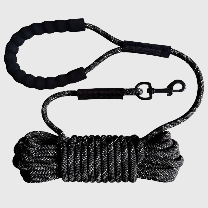 Longe Nylon Tressée Gros Chien Rappel
