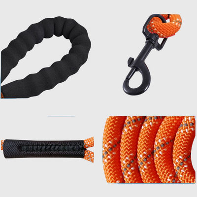 https://cdn.shopify.com/s/files/1/0763/9767/4819/files/Longe_en_corde_pour_chien_modele_zommer.png?v=1691595590