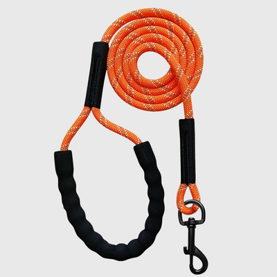 https://cdn.shopify.com/s/files/1/0763/9767/4819/files/Longe_en_corde_pour_chien_orange.png?v=1691595590