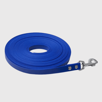 https://cdn.shopify.com/s/files/1/0763/9767/4819/files/Longe_fine_pour_chien_bleu.png?v=1773398379