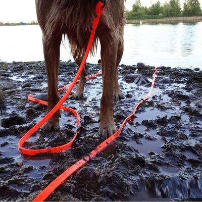 https://cdn.shopify.com/s/files/1/0763/9767/4819/files/Longe_fine_pour_chien_exemple_eau.jpg?v=1773398379