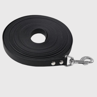 https://cdn.shopify.com/s/files/1/0763/9767/4819/files/Longe_fine_pour_chien_noir.png?v=1773398379