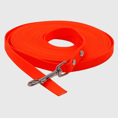 https://cdn.shopify.com/s/files/1/0763/9767/4819/files/Longe_fine_pour_chien_orange.png?v=1773398379