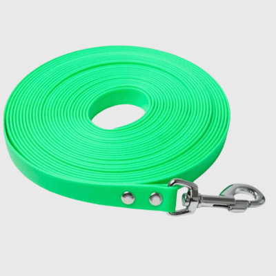 https://cdn.shopify.com/s/files/1/0763/9767/4819/files/Longe_fine_pour_chien_vert.png?v=1773398379
