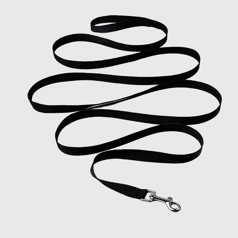 Longe Plate Nylon Renforcée Gros Chien 3-30m