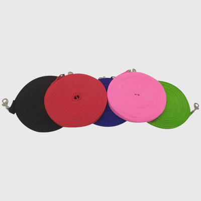 https://cdn.shopify.com/s/files/1/0763/9767/4819/files/Longe_plate_pour_chien_noir_rouge_rose_bleu_verte.png?v=1715781557