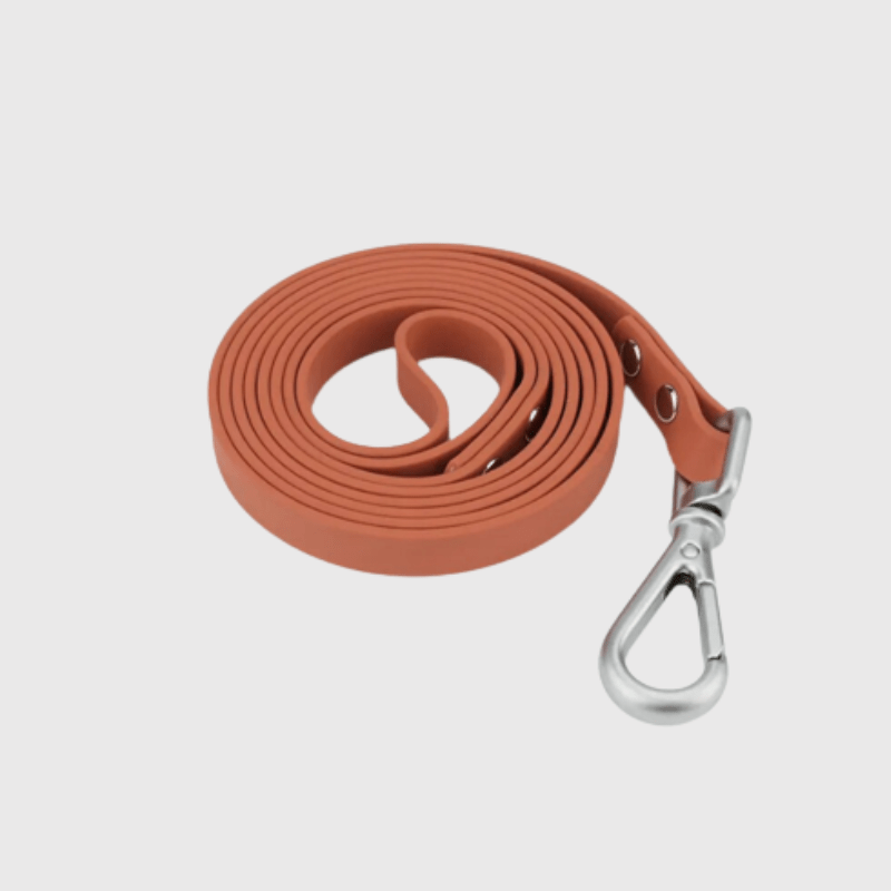 https://cdn.shopify.com/s/files/1/0763/9767/4819/files/Longe_pour_chien_15m.png?v=1727798057