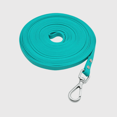 https://cdn.shopify.com/s/files/1/0763/9767/4819/files/Longe_pour_chien_3m.png?v=1727798651