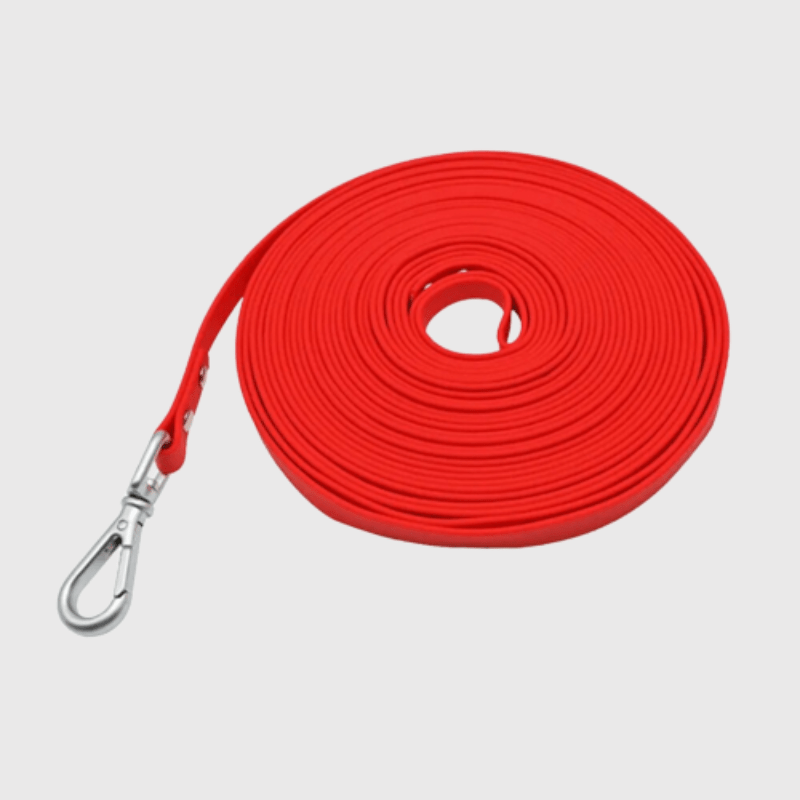 https://cdn.shopify.com/s/files/1/0763/9767/4819/files/Longe_pour_chien_5_m.png?v=1727797758