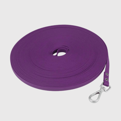 https://cdn.shopify.com/s/files/1/0763/9767/4819/files/Longe_pour_chien_5_m_violet.png?v=1727797906