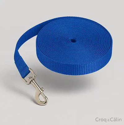 https://cdn.shopify.com/s/files/1/0923/9910/8483/files/Longe_pour_chien_bleue.png?v=1747591209