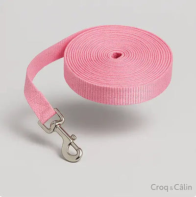 https://cdn.shopify.com/s/files/1/0923/9910/8483/files/Longe_pour_chien_rose.png?v=1747591250