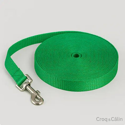 https://cdn.shopify.com/s/files/1/0923/9910/8483/files/Longe_pour_chien_verte.png?v=1747591229