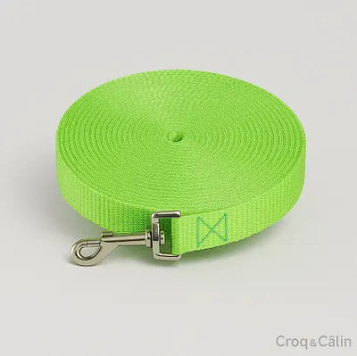 https://cdn.shopify.com/s/files/1/0923/9910/8483/files/Longe_pour_chien_verte_claire.png?v=1747591271