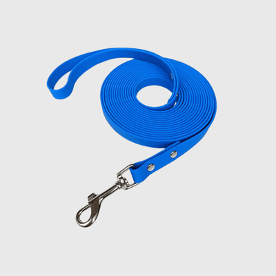 https://cdn.shopify.com/s/files/1/0763/9767/4819/files/Longe_pour_gros_chien.png?v=1727798412