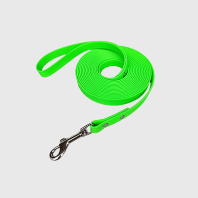 https://cdn.shopify.com/s/files/1/0763/9767/4819/files/Longe_pour_gros_chien_vert.png?v=1727798453