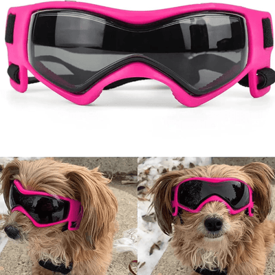https://cdn.shopify.com/s/files/1/0763/9767/4819/files/Lunette_de_protection_pour_petit_chien_chiots.png?v=1762951396