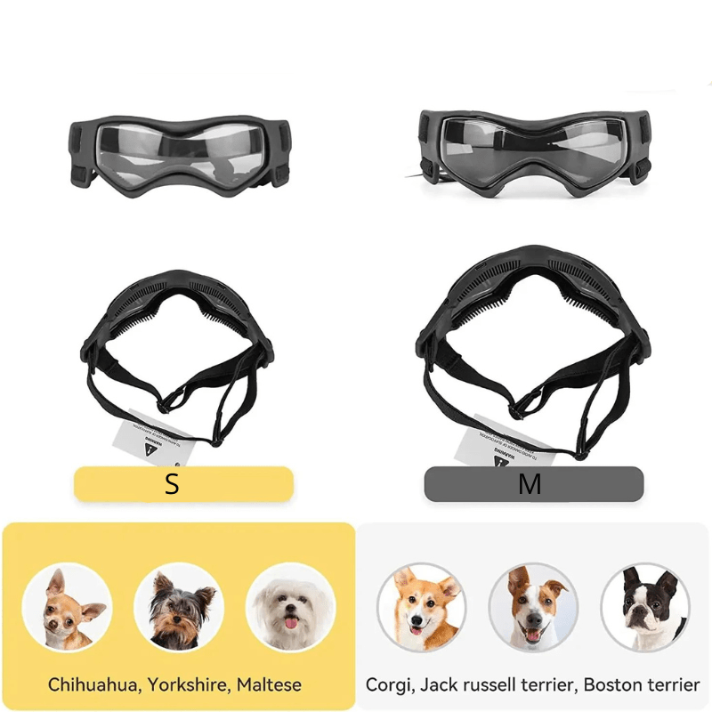 https://cdn.shopify.com/s/files/1/0763/9767/4819/files/Lunette_de_protection_pour_petit_chien_comparaison_taille.png?v=1762951396