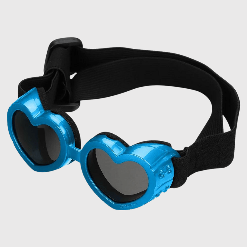 https://cdn.shopify.com/s/files/1/0763/9767/4819/files/Lunette_de_protection_pour_petit_chien_en_forme_de_c_ur_sur_caniche.png?v=1750088647