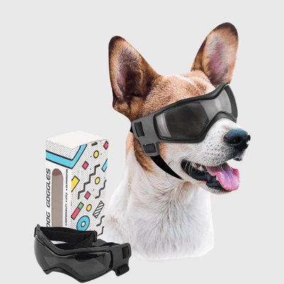 https://cdn.shopify.com/s/files/1/0763/9767/4819/files/Lunette_de_protection_pour_petit_chien_noir_M.png?v=1762951396