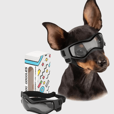 https://cdn.shopify.com/s/files/1/0763/9767/4819/files/Lunette_de_protection_pour_petit_chien_noir_S.png?v=1762951396