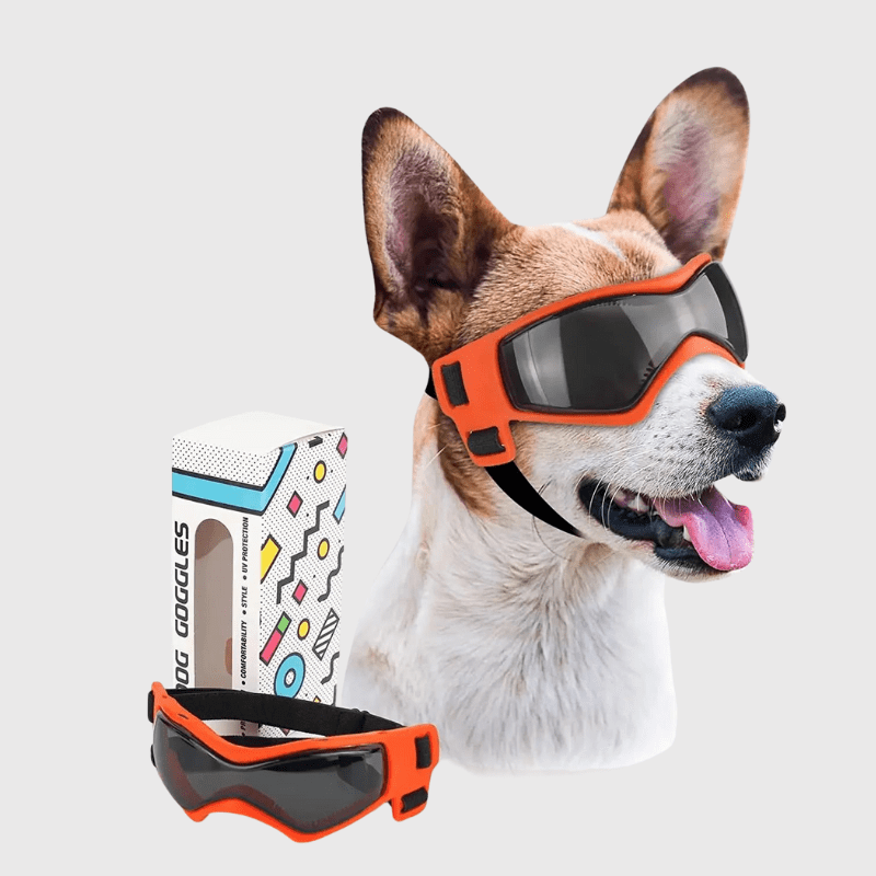 https://cdn.shopify.com/s/files/1/0763/9767/4819/files/Lunette_de_protection_pour_petit_chien_orange_M.png?v=1762951396