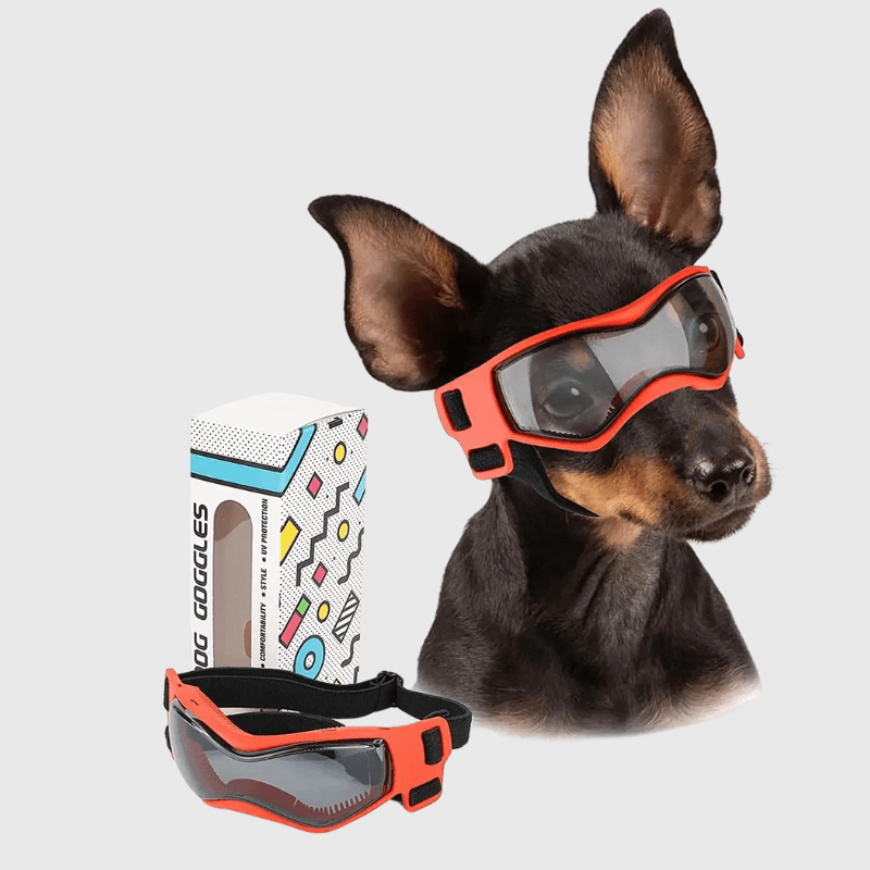 https://cdn.shopify.com/s/files/1/0763/9767/4819/files/Lunette_de_protection_pour_petit_chien_orange_S.png?v=1762951396