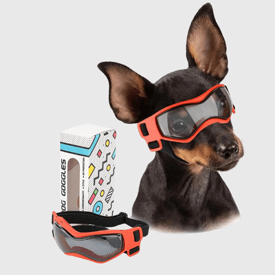 https://cdn.shopify.com/s/files/1/0763/9767/4819/files/Lunette_de_protection_pour_petit_chien_orange_S.png?v=1762951396
