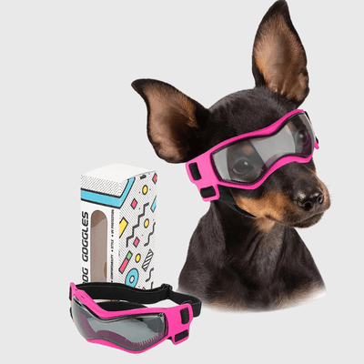 https://cdn.shopify.com/s/files/1/0763/9767/4819/files/Lunette_de_protection_pour_petit_chien_rose_S.png?v=1762951396