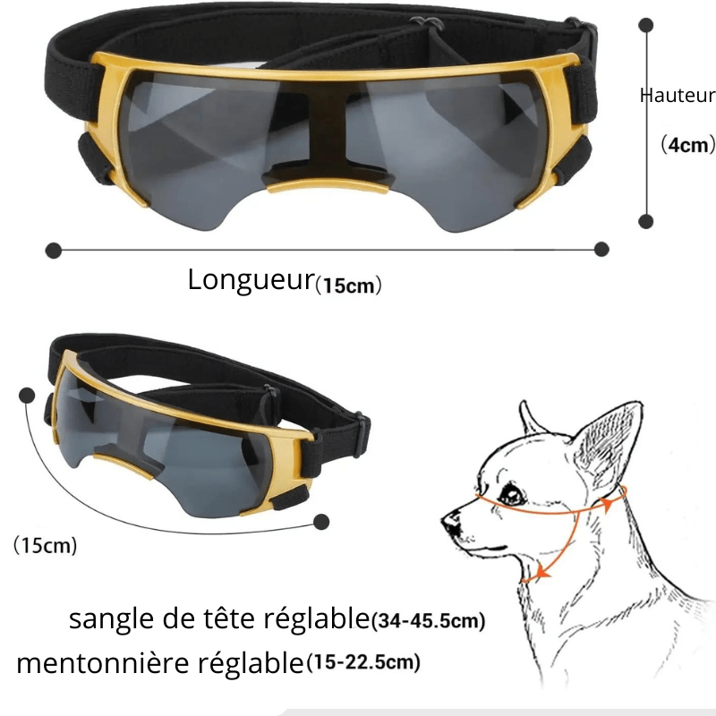 https://cdn.shopify.com/s/files/1/0763/9767/4819/files/Lunette_de_protection_pour_petit_chien_sans_contour_jaune.png?v=1762951396