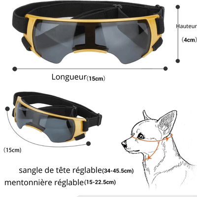 https://cdn.shopify.com/s/files/1/0763/9767/4819/files/Lunette_de_protection_pour_petit_chien_sans_contour_jaune.png?v=1762951396