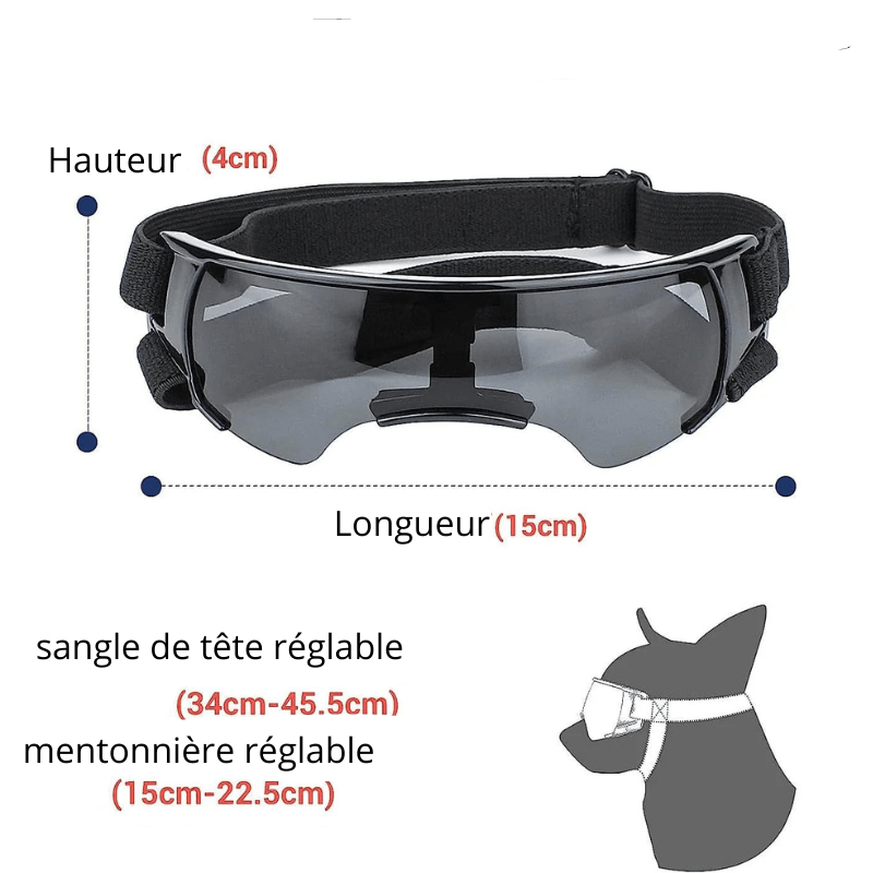 https://cdn.shopify.com/s/files/1/0763/9767/4819/files/Lunette_de_protection_pour_petit_chien_sans_contour_noir.png?v=1762951396