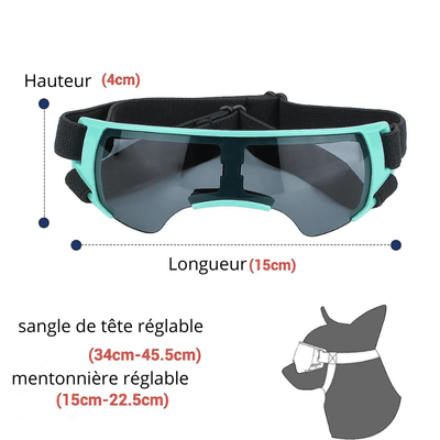 https://cdn.shopify.com/s/files/1/0763/9767/4819/files/Lunette_de_protection_pour_petit_chien_sans_contour_vert.png?v=1762951396