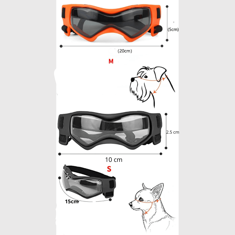 https://cdn.shopify.com/s/files/1/0763/9767/4819/files/Lunette_de_protection_pour_petit_chien_taille.png?v=1762951396